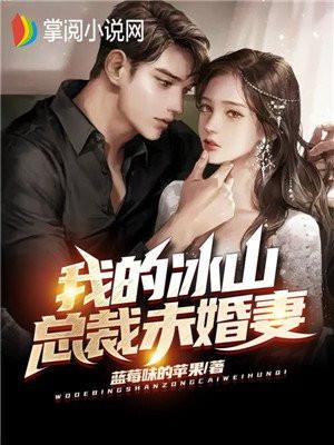 我的冰山总裁未婚妻全文免费阅读