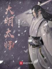 大明太师正版