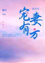 沈先生宠妻有方作者穗雪