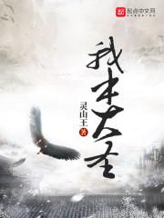 我本大圣txt啃书