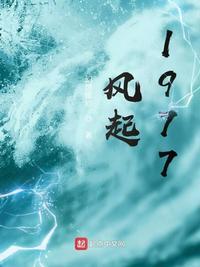 起风了胡夏