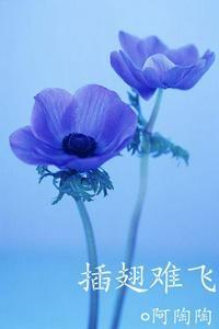 沈初云陆进儿子陆昊的