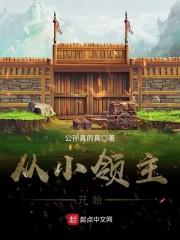 从领主开始种田
