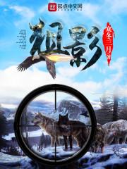 狙影全文免费阅读