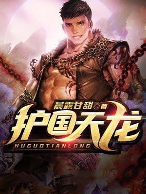 护国天龙第十七章五十七