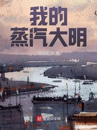 我的蒸汽大明123