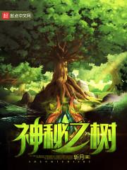 神秘之树 见面