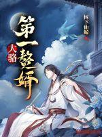 大骆第一赘婿txt