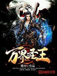 万界圣王txt压缩包