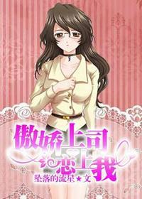傲娇上司有点冷女主