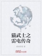 猫武士雷电崛起