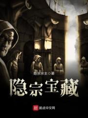 隐宗宝藏 隐宗宗主