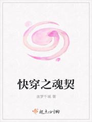 快穿之魂契全文阅读