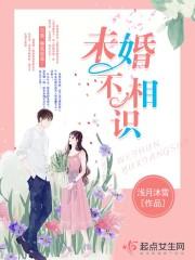 未婚关系是什么意思