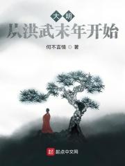 大明从洪武末年开始起点