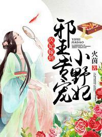 邪王专宠小男妃