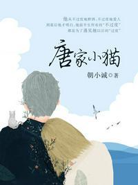 唐家小猫再版