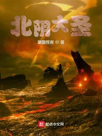 北阴大圣无防盗版