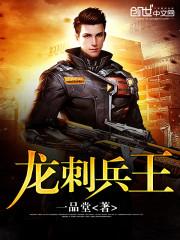 龙刺兵王完整版