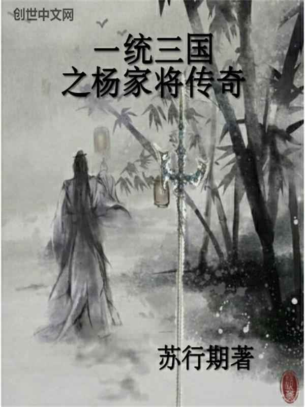 一杨家将外传