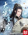 大唐第一庄全本txt
