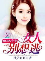 boss专宠