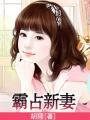 霸占新妻总裁大人太用力txt
