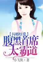 闪婚厚爱腹黑老公小萌妻免费版