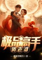 极品全能高手夏天老婆百科