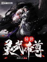 异世灵武h26