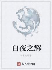 辉夜和白银是什么动漫
