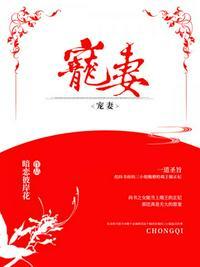 宠妻陆总