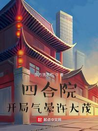 四合院开局重拳许大茂