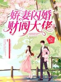 闪婚财阀大佬后我在离婚边缘