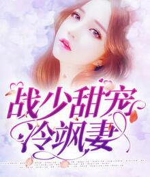 男主角战夜擎林初瓷