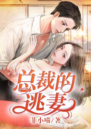 总裁的逃妻结局