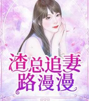 渣总追妻路漫漫全文免费阅读最新章节更新