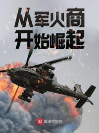 主角军火商