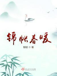 锦帐春宵又名