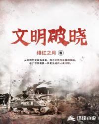 文明破晓何锐何君评分