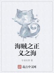 海贼之正义白鸟