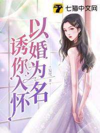 以婚为名诱你入怀全文阅读