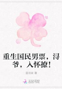 重生国民男神系列