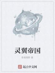 帝国之翼 电视剧