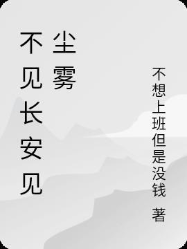 不见长安见尘雾打数字几