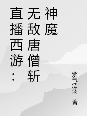 西游记无敌唐僧