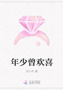 也曾年少欢喜