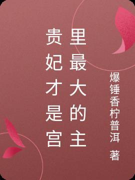 贵妃身边的宫女等级