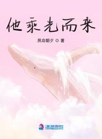 乘光而来踏月而归什么意思