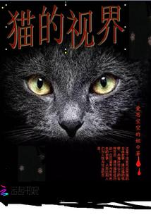 猫的视觉画面